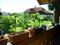 Balkon2_29062011.webp