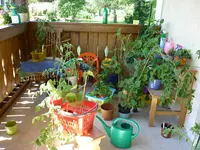 Balkon3_29062011.webp