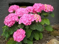 29_06_11 008.webp