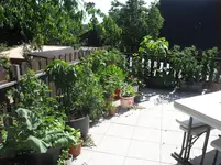 SDC12605.webp