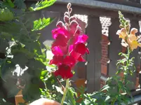 SDC12615.webp