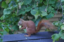 DSC_0128a.webp