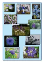 blau.webp