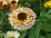 IMG_4239_1067x800.webp