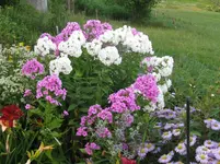 IMG_7829_1067x800.webp
