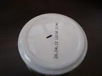 nochmalInsekten 002.webp
