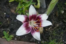 DSC05602.webp
