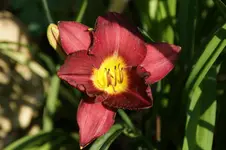 DSC05598.webp