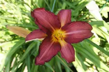 DSC05599.webp