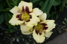 DSC05601.webp
