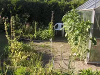 HPIM6500.webp