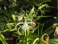 HPIM6497.webp