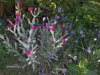 HPIM6495.webp