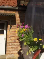 HPIM6493.webp