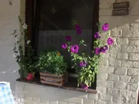 HPIM6491.webp