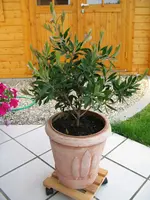 FlaschenputzerIMG_0957.webp
