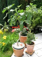 IMG_0938.webp