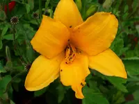 DSCI1464.webp