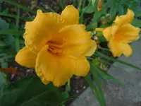 027.webp