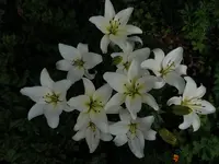 024.webp