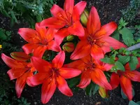 025.webp