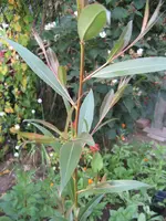 IMG_5280.webp