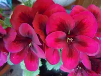 012.webp