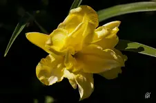 blog_2818_Patricia.webp