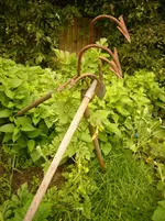 P1100046.webp
