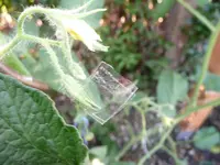 P1040020.webp