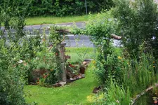Rosenbogen von oben (2).webp