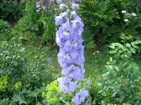 018.webp