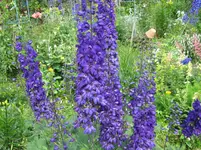 020.webp