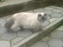 DSC00198.webp