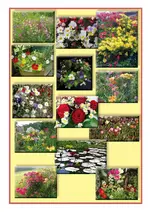 bunt.webp