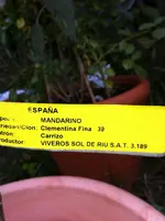 002.webp