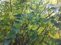 IMG_0676 (Small).webp