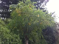 IMG_0675 (Small).webp