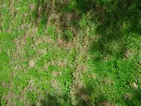 P1020251.webp