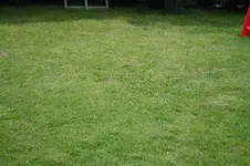 20110701_2730.webp