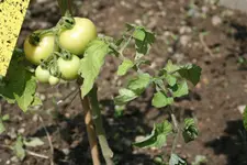 20110701_2732.webp