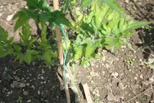 20110701_2733.webp