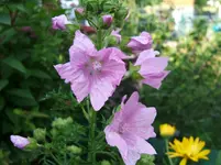 DSCF5656.webp