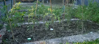 20110701_2736.webp