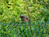 030.webp