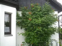 PIC00029.webp