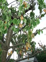 DSCF6682.webp
