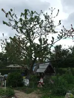 DSCF6683.webp