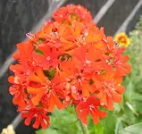 29_06_11 001_a.webp