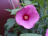 IMGP3899.webp